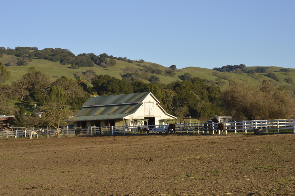 A local ranch